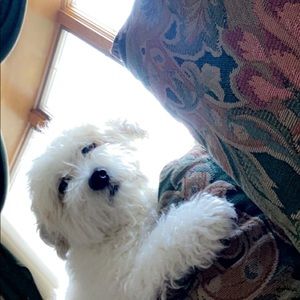 Meet your Posher, Danielle